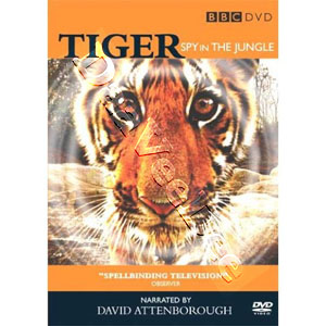 Tiger: Spy in the Jungle |   DVD